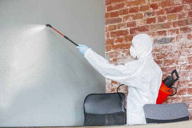 Biohazard Mold Removal in Waipio, HI