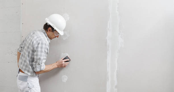 Best Real Estate Mold Inspection  in Waipio, HI